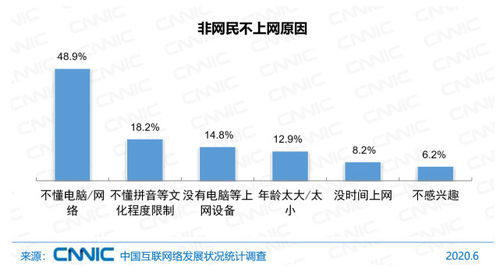 中國互聯(lián)網(wǎng)絡(luò)發(fā)展狀況統(tǒng)計報告（2020年第46次） 網(wǎng)民規(guī)模、結(jié)構(gòu)狀況與計算機軟件數(shù)據(jù)處理服務(wù)分析