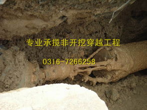 天津過道頂管施工在環(huán)保工程中的應(yīng)用與優(yōu)勢(shì)